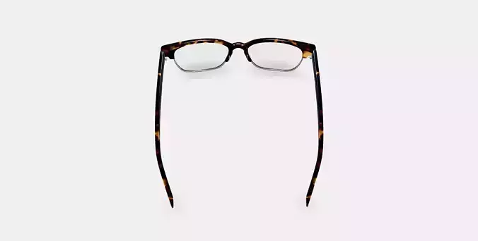 Ames Eyeglasses in Whiskey Tortoise with Riesling