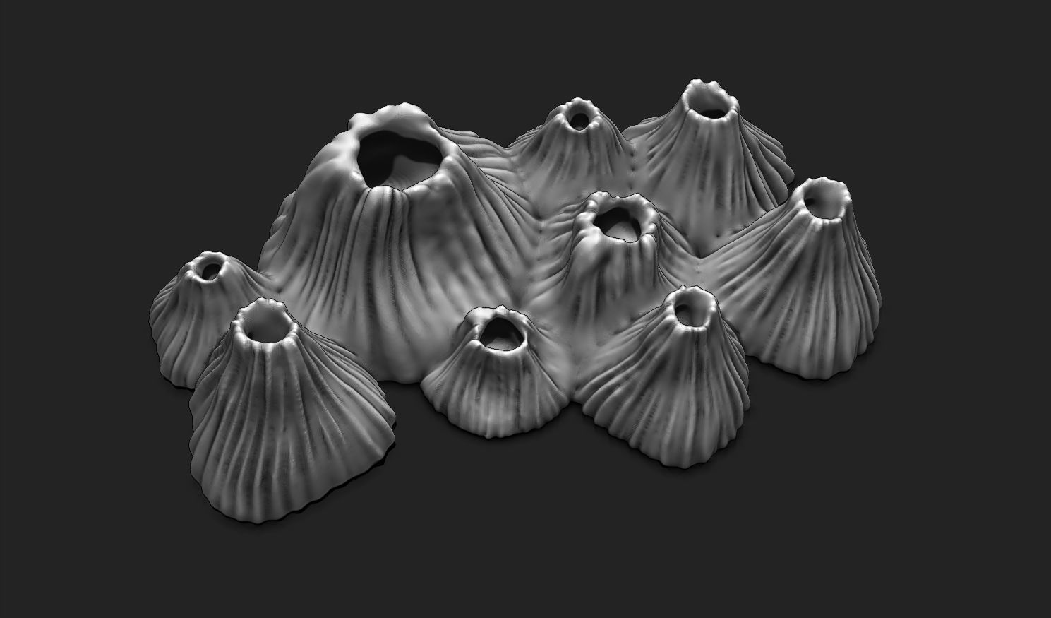 Realistic Barnacle 3D Print Model for Nautical Decor 3D print model_13