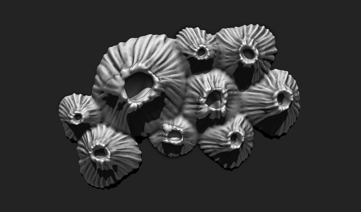 Realistic Barnacle 3D Print Model for Nautical Decor 3D print model_12