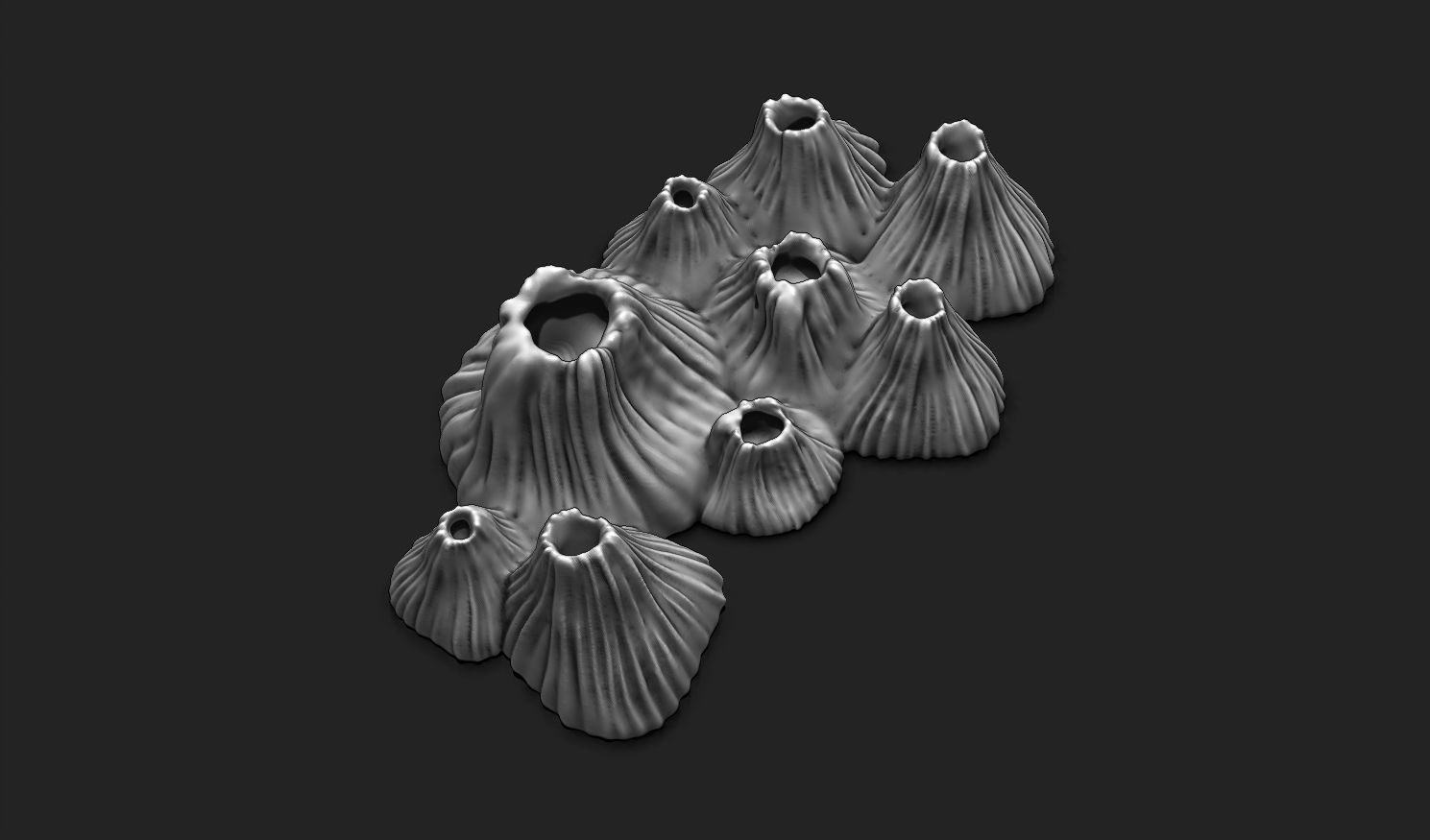 Realistic Barnacle 3D Print Model for Nautical Decor 3D print model_15