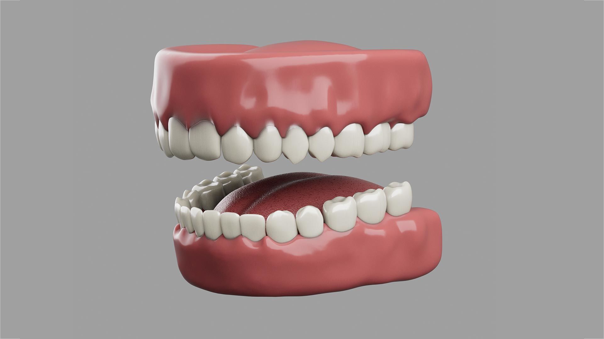 Realistic High poly Teeth 3D Model 3D model_1