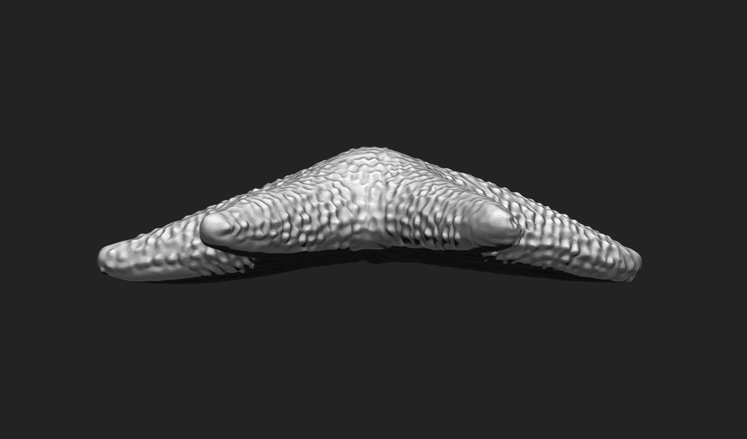 Starfish 5 - 3D Print - Aquarium 3D print model_16