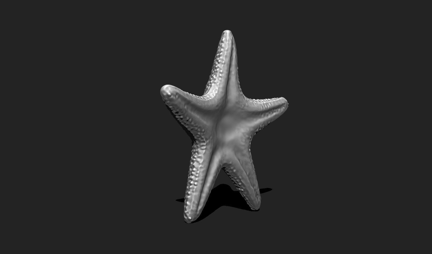 Starfish 5 - 3D Print - Aquarium 3D print model_7