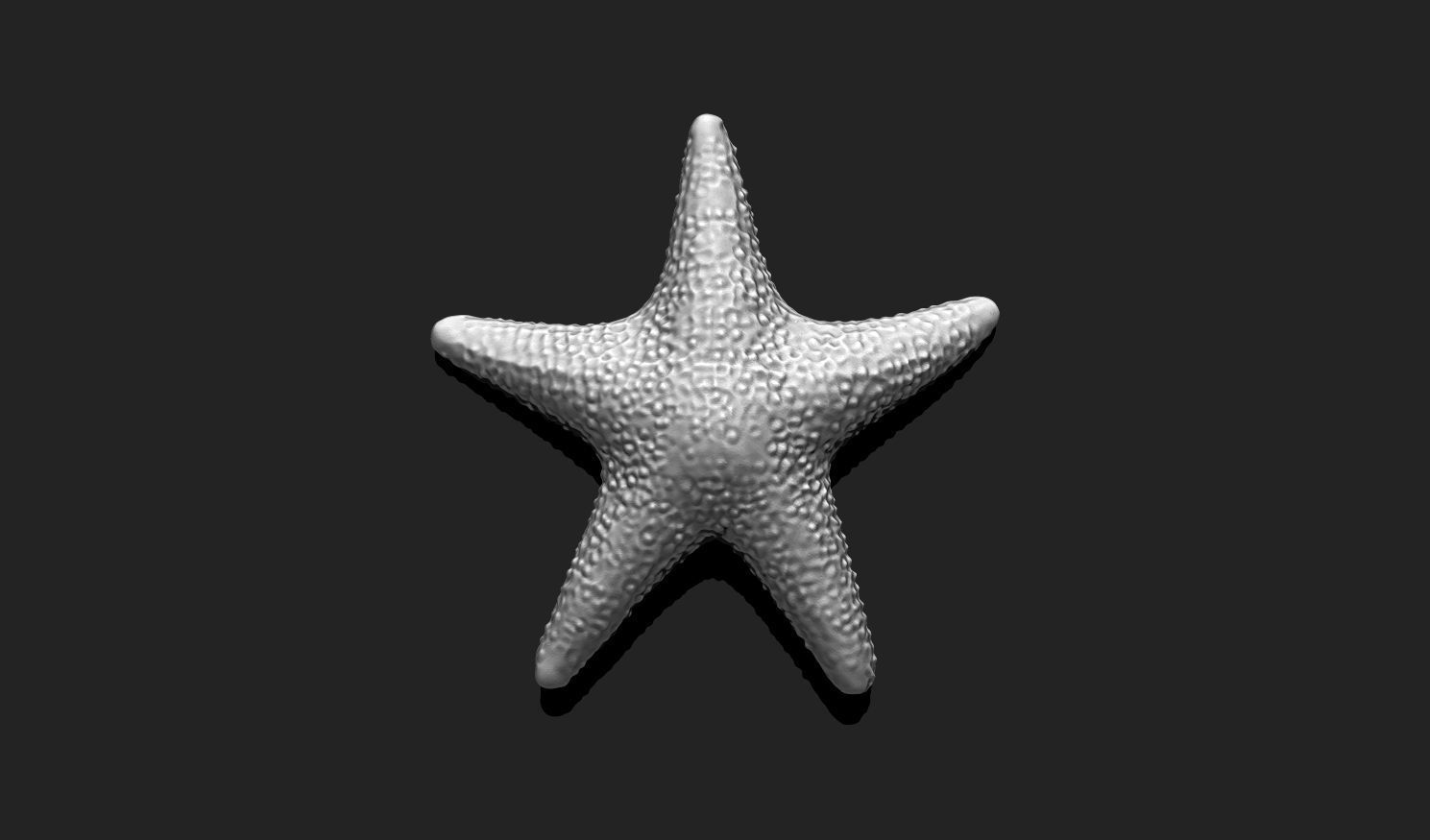 Starfish 5 - 3D Print - Aquarium 3D print model_1