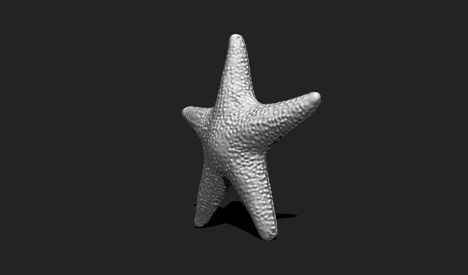 Starfish 5 - 3D Print - Aquarium 3D print model_10