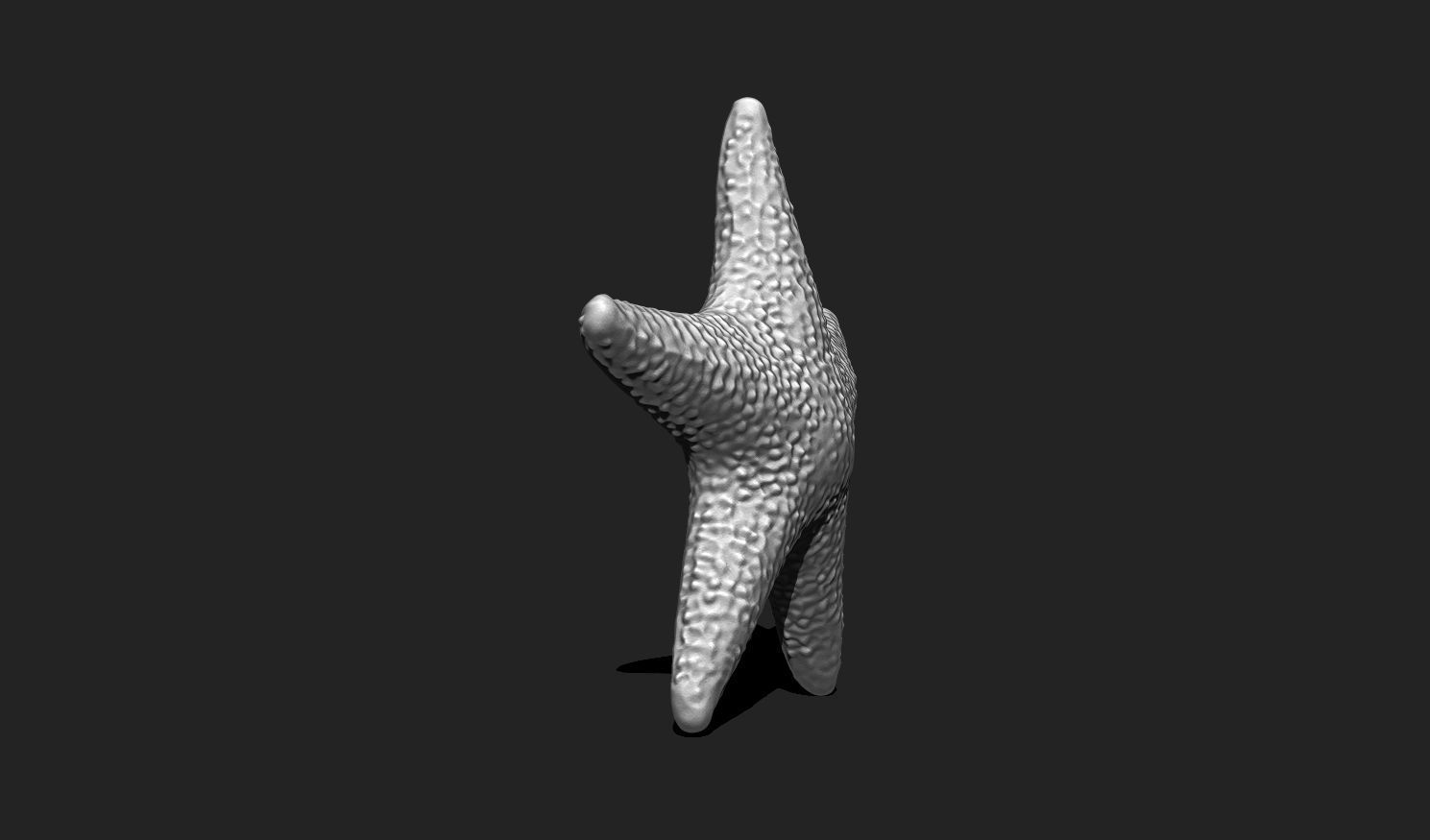 Starfish 5 - 3D Print - Aquarium 3D print model_3