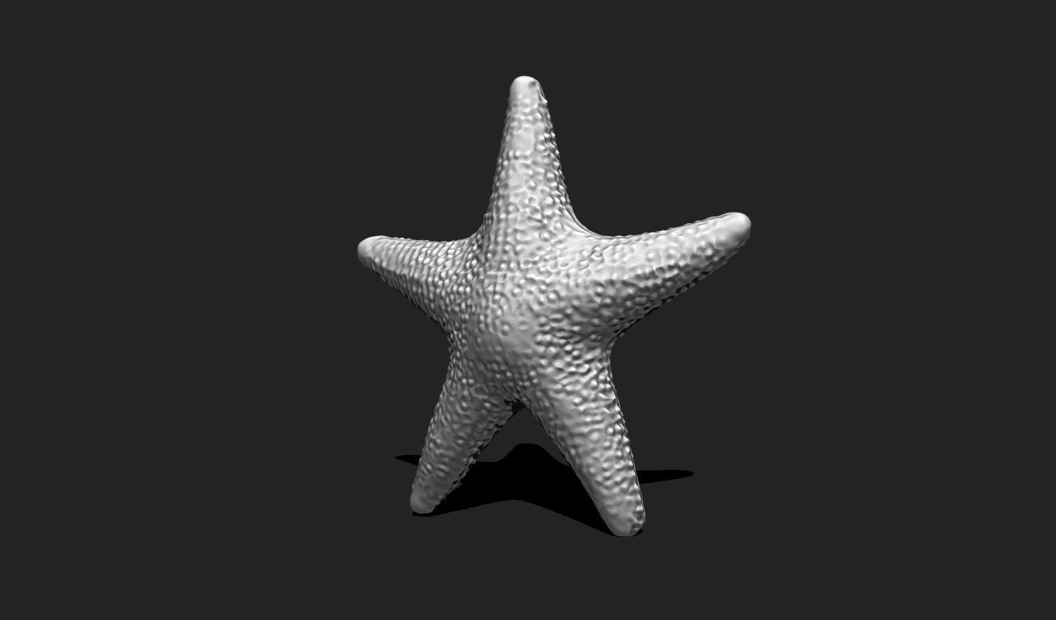 Starfish 5 - 3D Print - Aquarium 3D print model_11