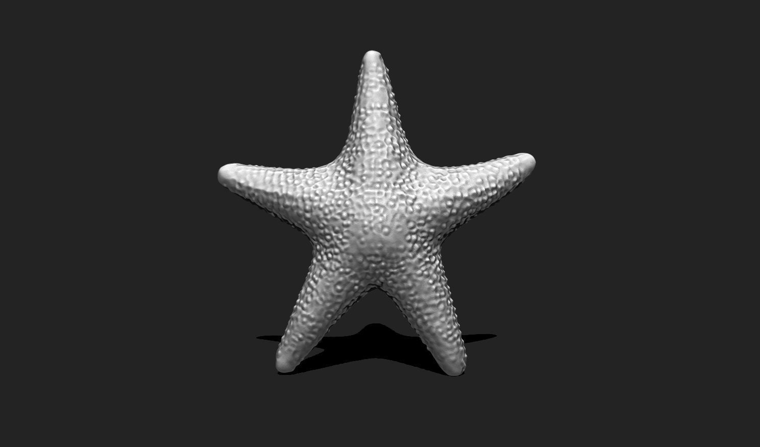 Starfish 5 - 3D Print - Aquarium 3D print model_2