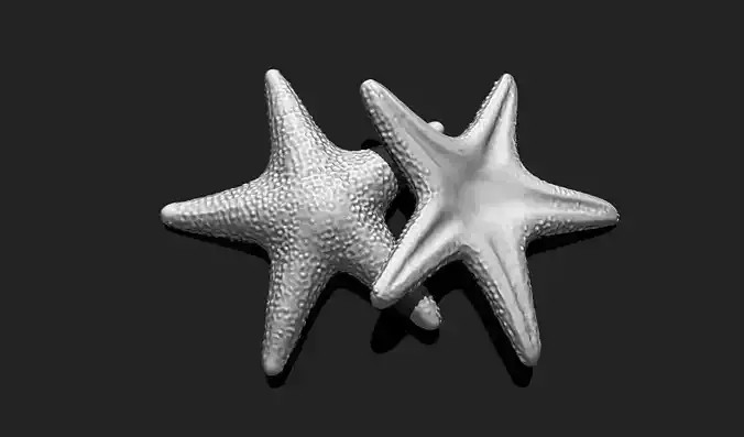 Starfish 5 - 3D Print - Aquarium 3D print model