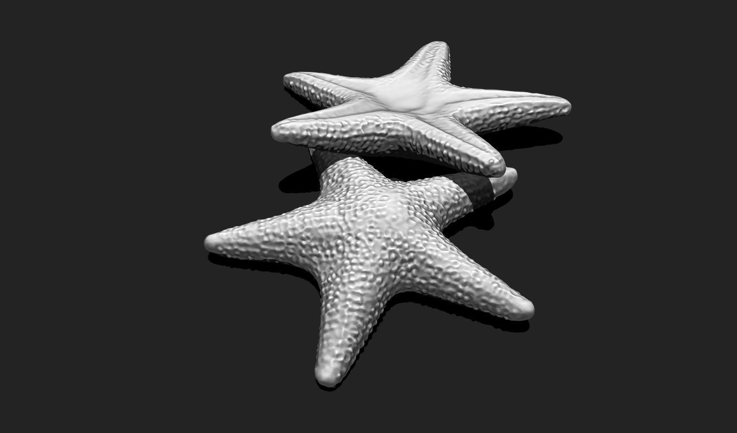 Starfish 5 - 3D Print - Aquarium 3D print model_15