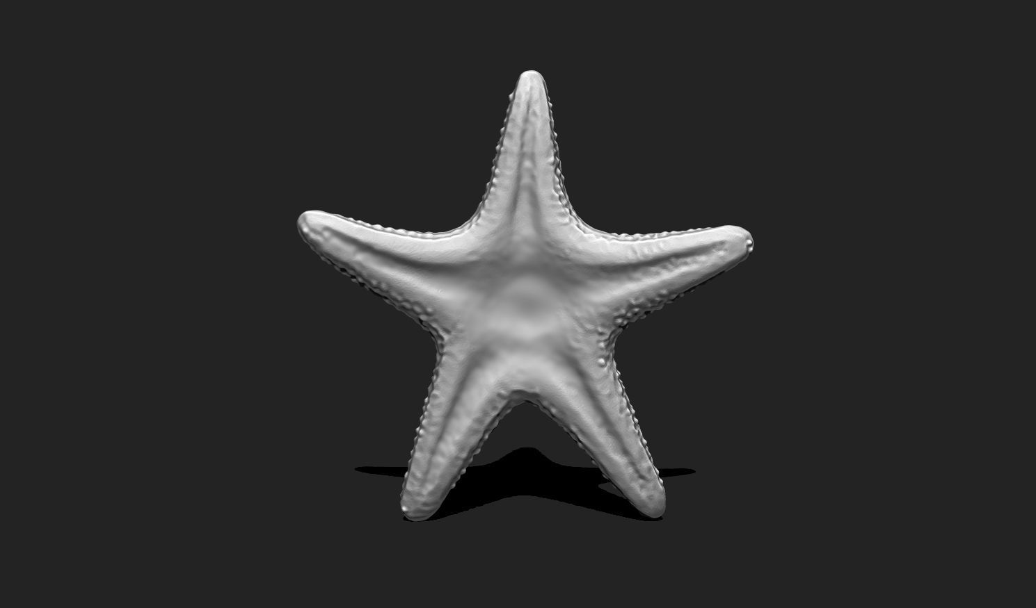 Starfish 5 - 3D Print - Aquarium 3D print model_6