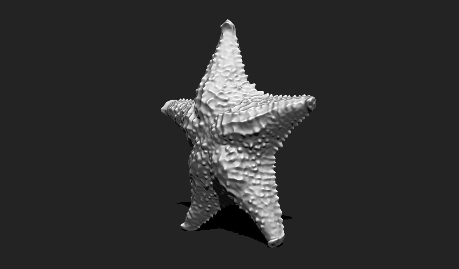 Starfish 6 - 3D Print - Aquarium 3D print model_11