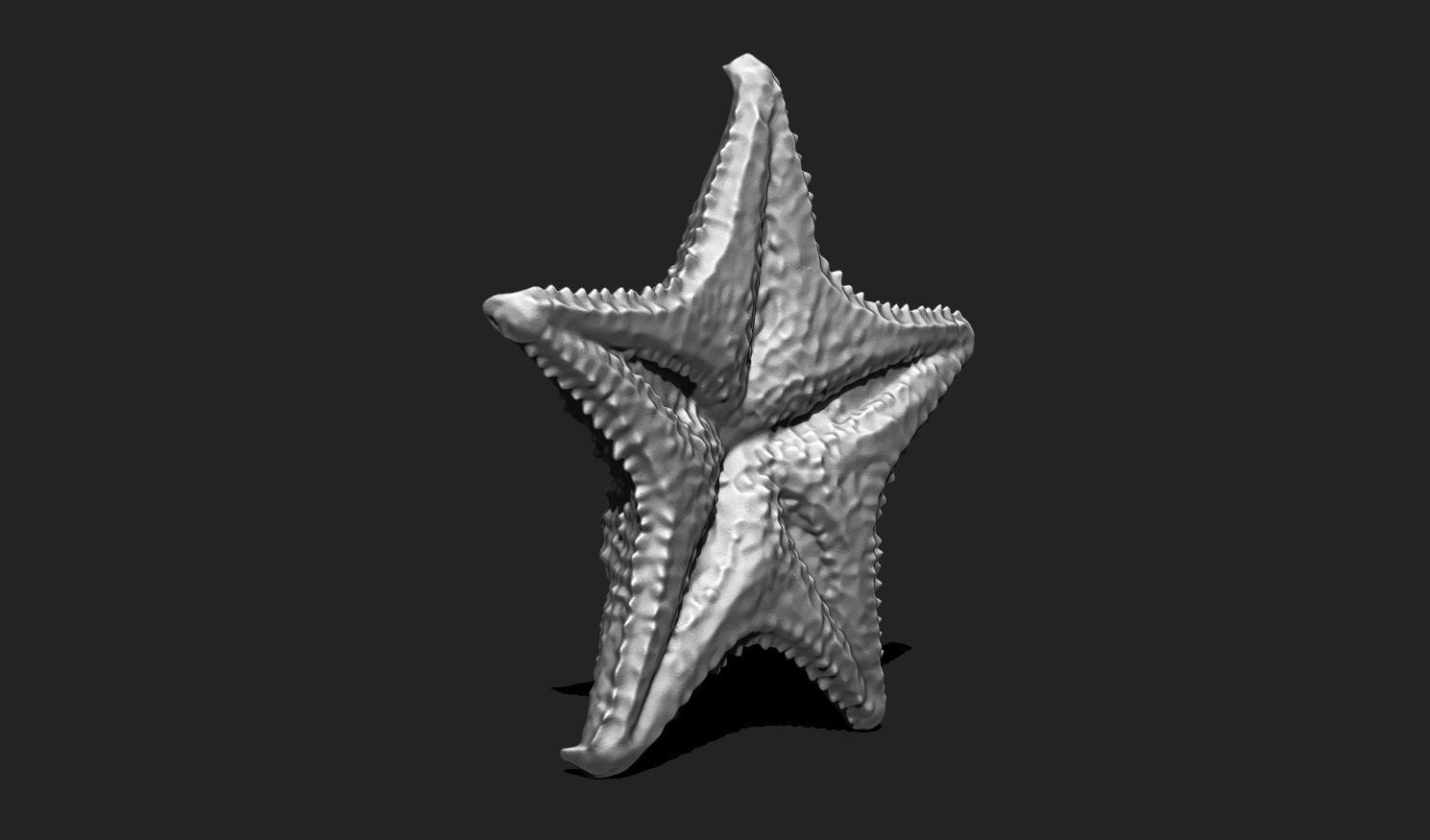 Starfish 6 - 3D Print - Aquarium 3D print model_7