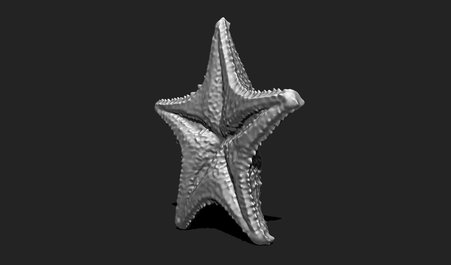 Starfish 6 - 3D Print - Aquarium 3D print model_5
