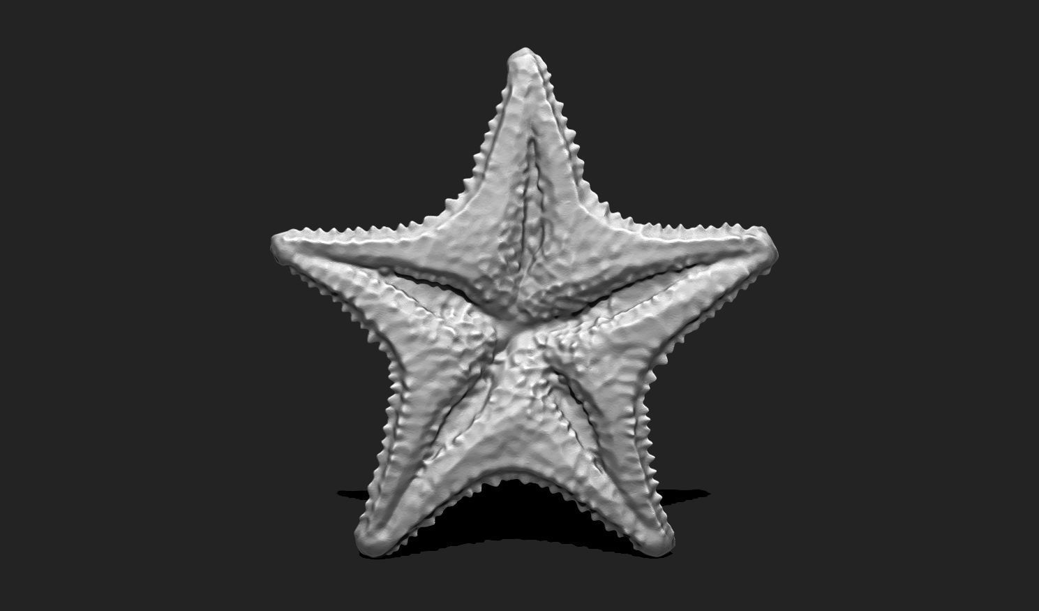 Starfish 6 - 3D Print - Aquarium 3D print model_6
