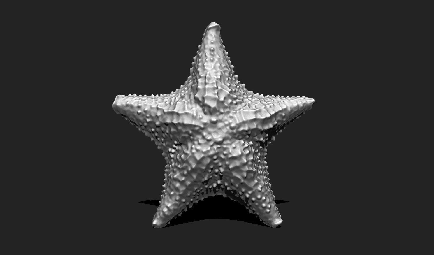 Starfish 6 - 3D Print - Aquarium 3D print model_12