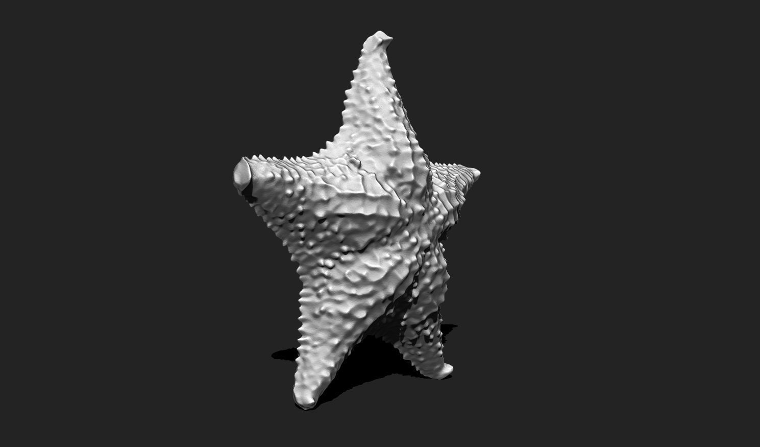 Starfish 6 - 3D Print - Aquarium 3D print model_3