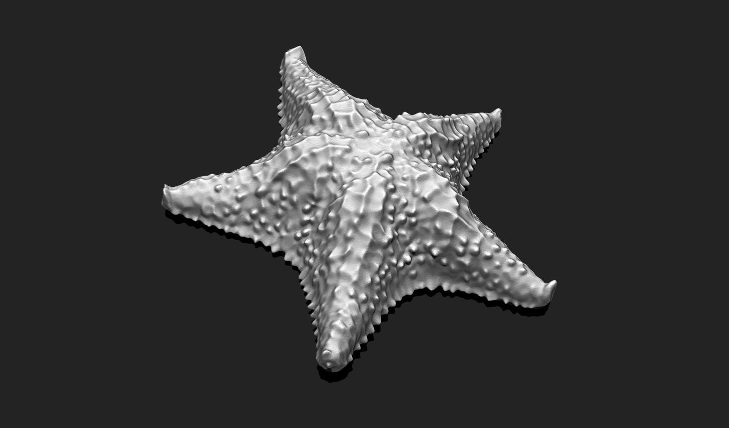 Starfish 6 - 3D Print - Aquarium 3D print model_1