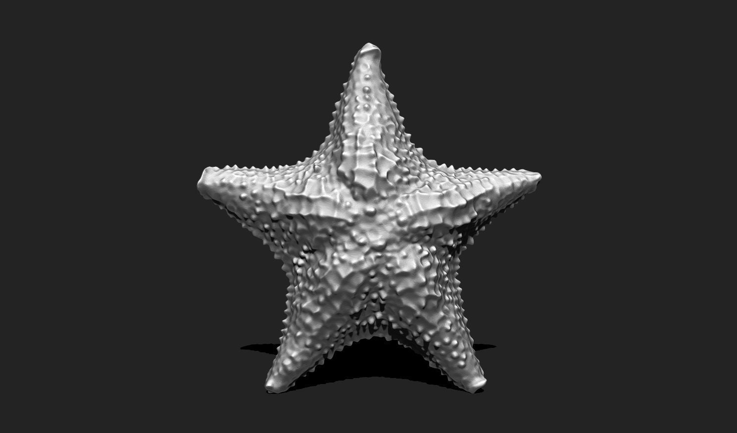 Starfish 6 - 3D Print - Aquarium 3D print model_2