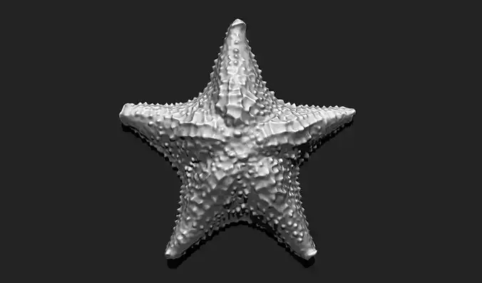 Starfish 6 - 3D Print - Aquarium 3D print model