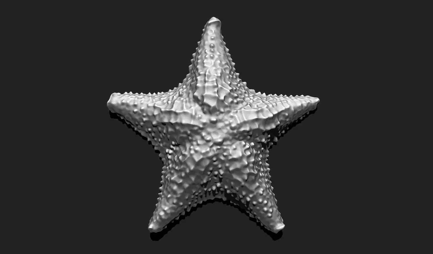 Starfish 6 - 3D Print - Aquarium 3D print model_0