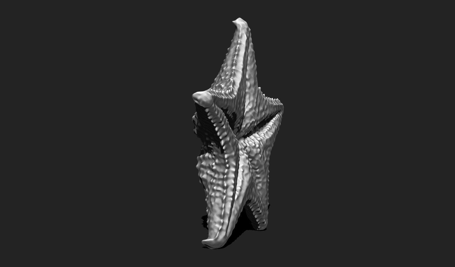 Starfish 6 - 3D Print - Aquarium 3D print model_8