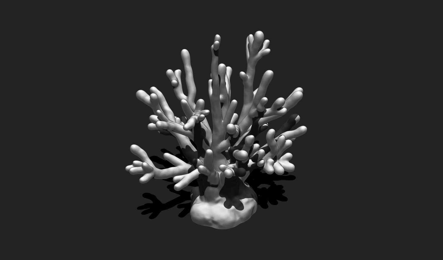 Coral 8 for 3D Printing - STL 3D Print - Aquarium - Home Decor 3D print model_3