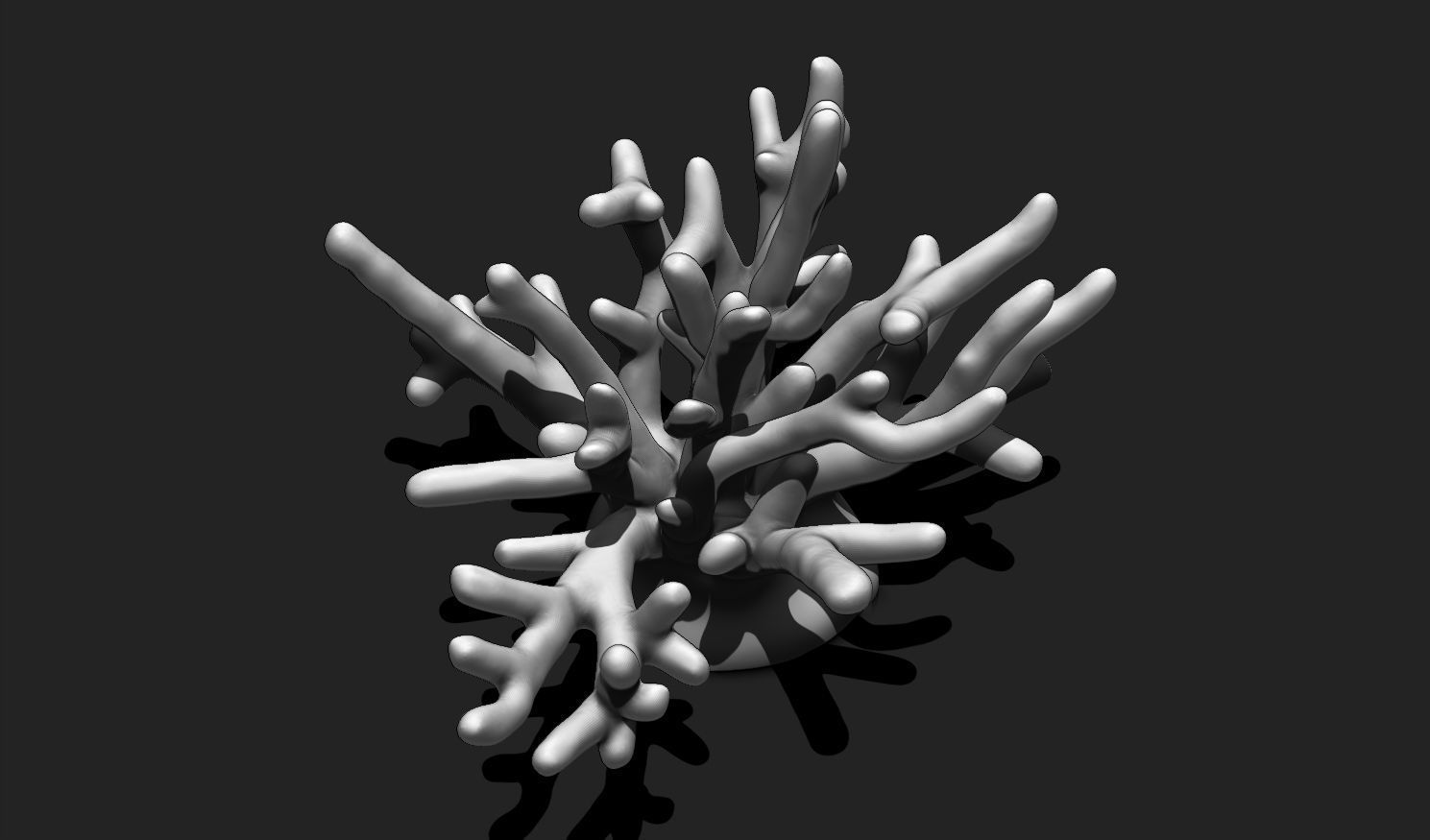 Coral 10 for 3D Printing - STL 3D Print - Aquarium - Home Decor 3D print model_12