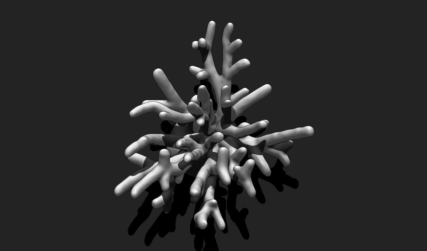 Coral 10 for 3D Printing - STL 3D Print - Aquarium - Home Decor 3D print model_8