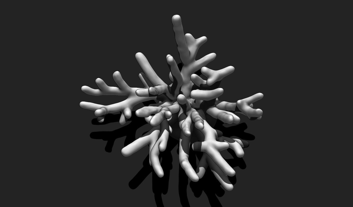 Coral 10 for 3D Printing - STL 3D Print - Aquarium - Home Decor 3D print model_11