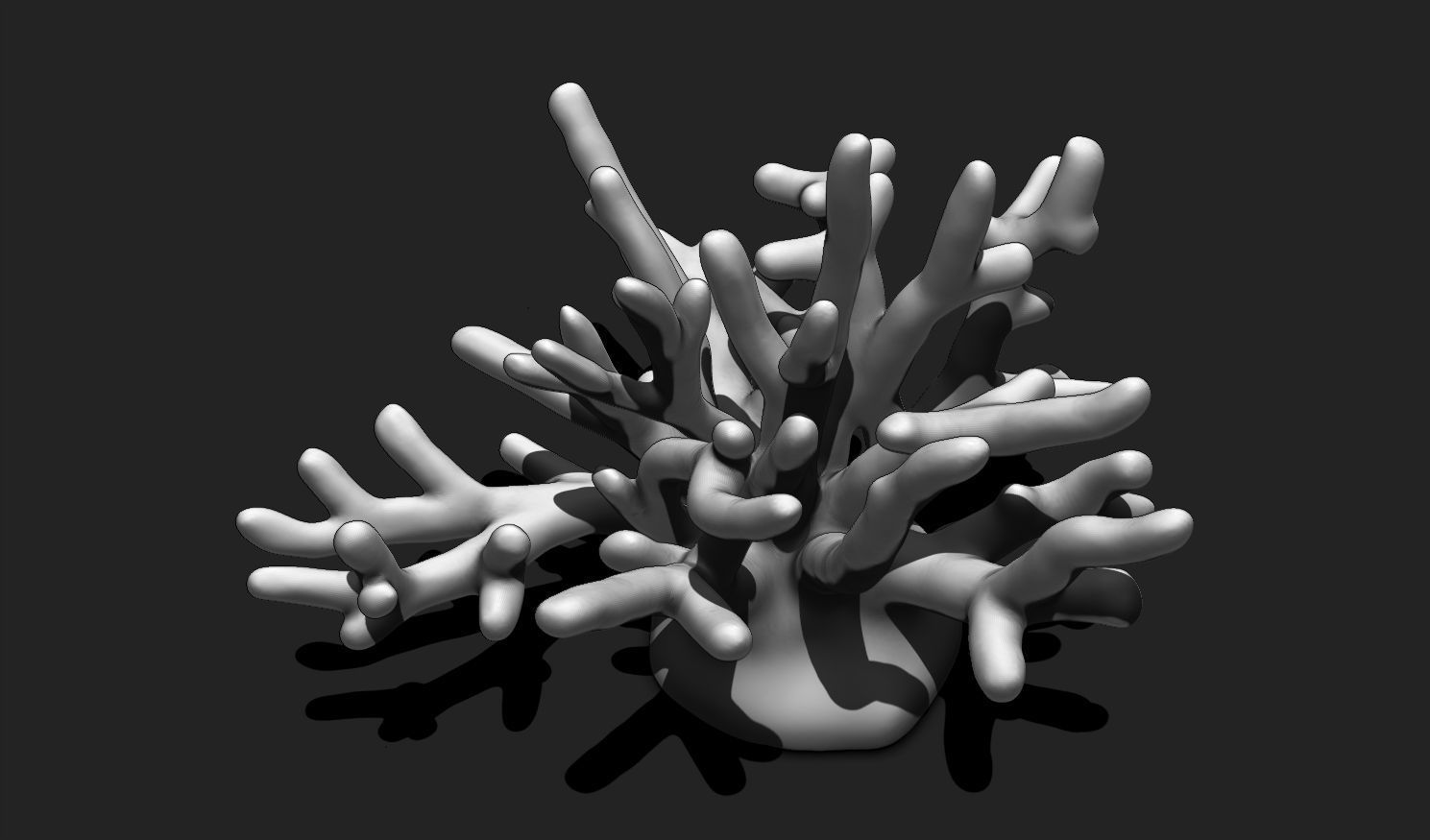 Coral 10 for 3D Printing - STL 3D Print - Aquarium - Home Decor 3D print model_10