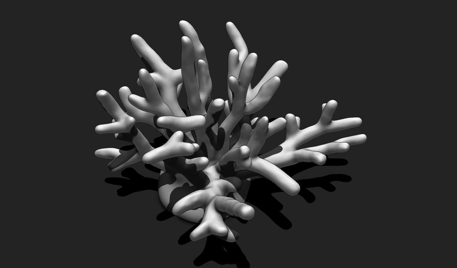 Coral 10 for 3D Printing - STL 3D Print - Aquarium - Home Decor 3D print model_13