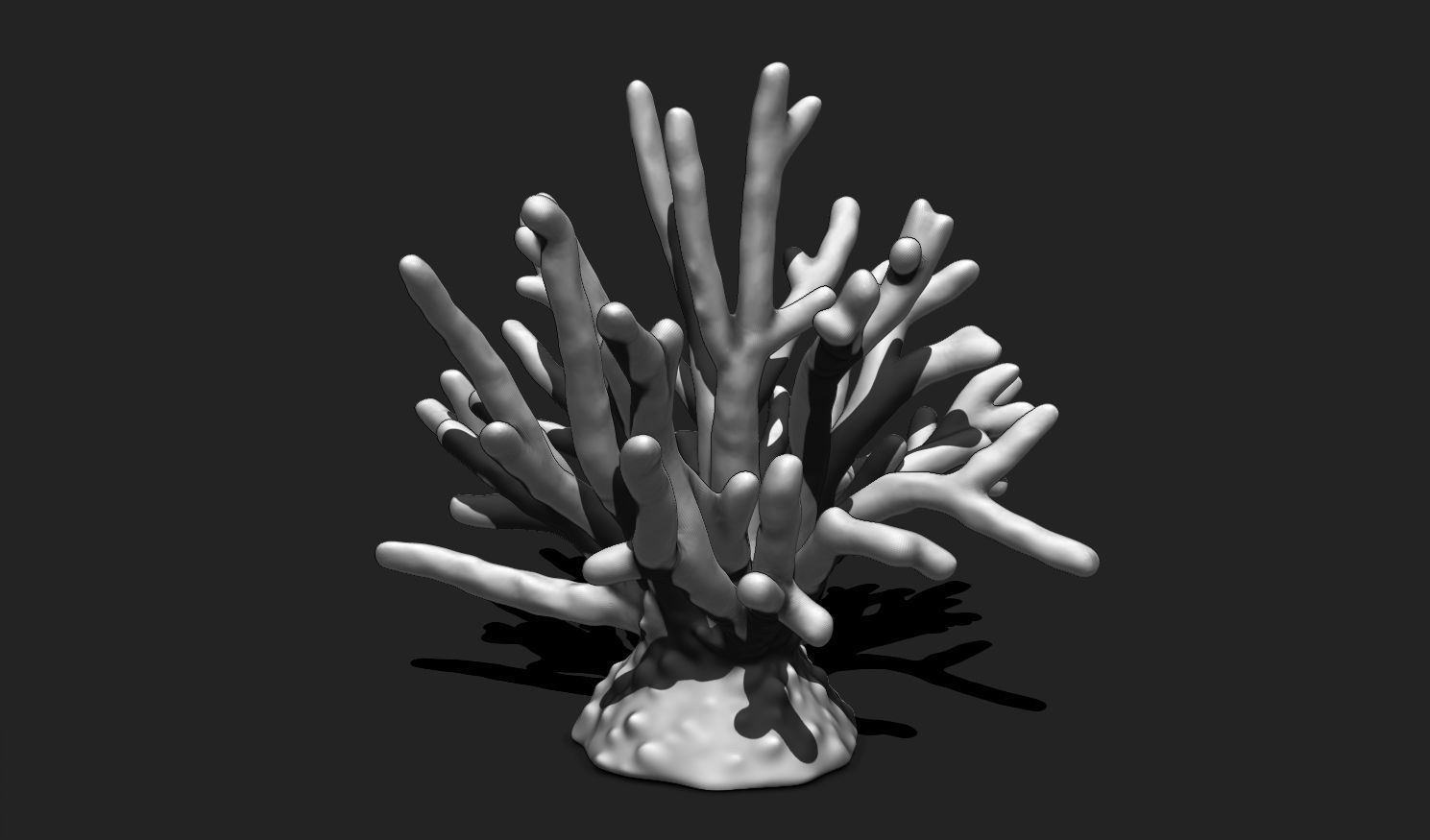 Coral 11 for 3D Printing - STL 3D Print - Aquarium - Home Decor 3D print model_12