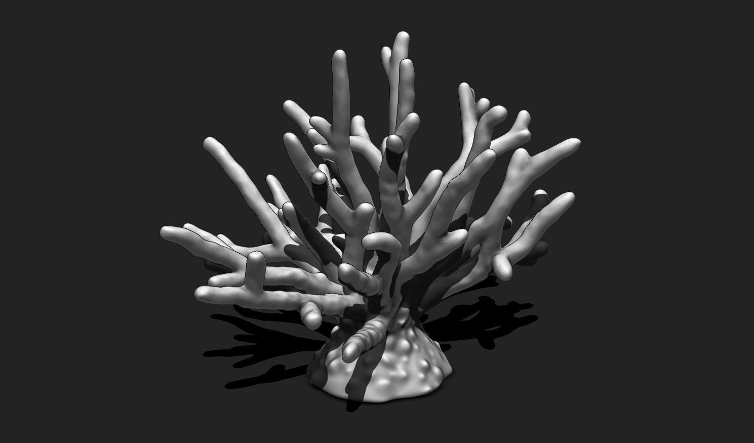 Coral 11 for 3D Printing - STL 3D Print - Aquarium - Home Decor 3D print model_8