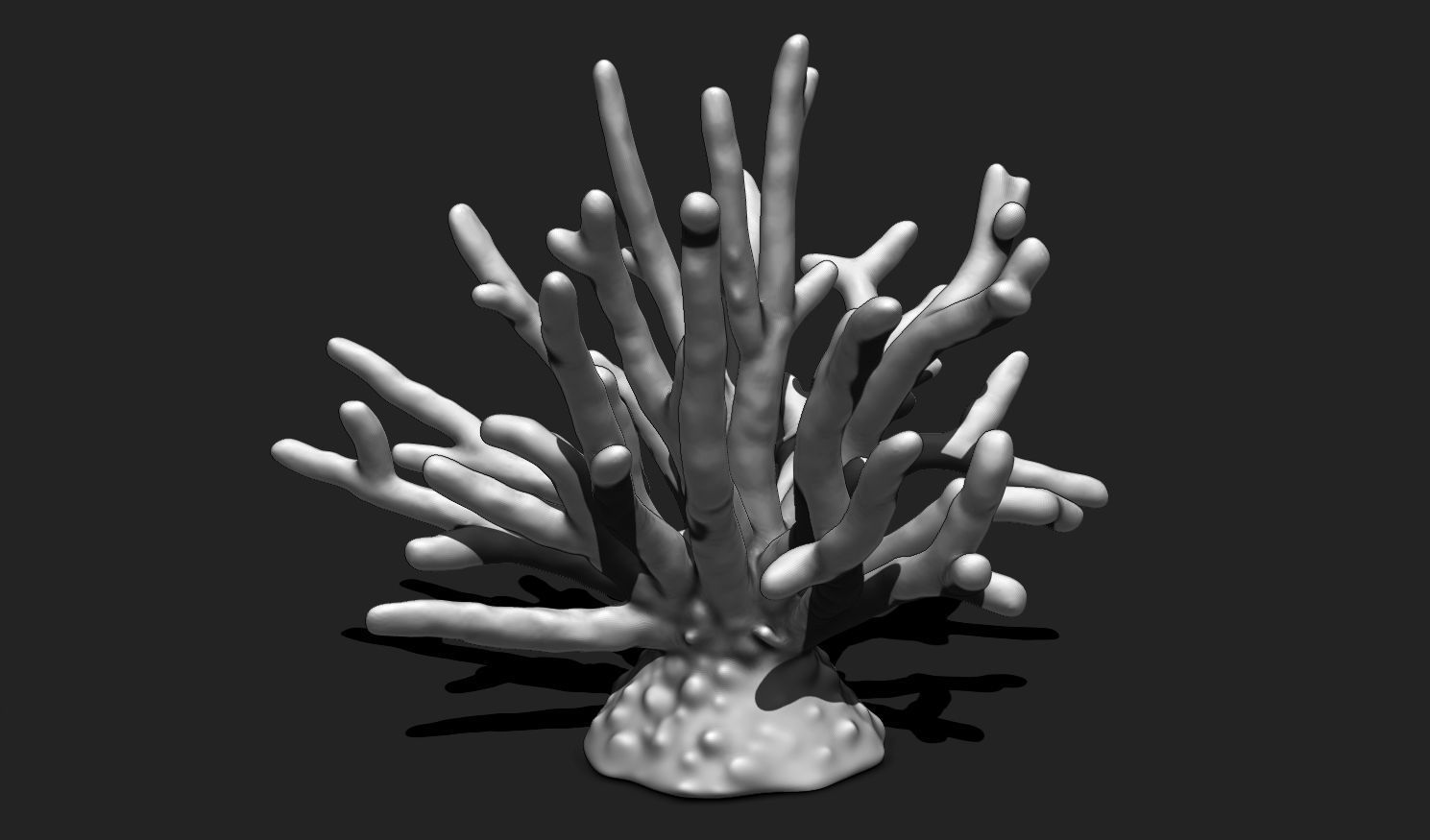 Coral 11 for 3D Printing - STL 3D Print - Aquarium - Home Decor 3D print model_14