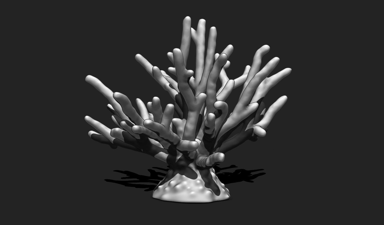 Coral 11 for 3D Printing - STL 3D Print - Aquarium - Home Decor 3D print model_3
