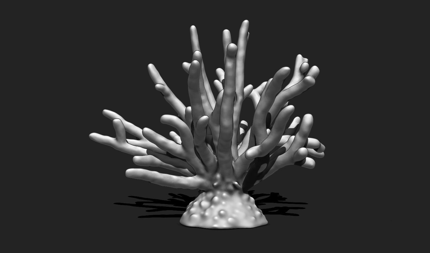 Coral 11 for 3D Printing - STL 3D Print - Aquarium - Home Decor 3D print model_1