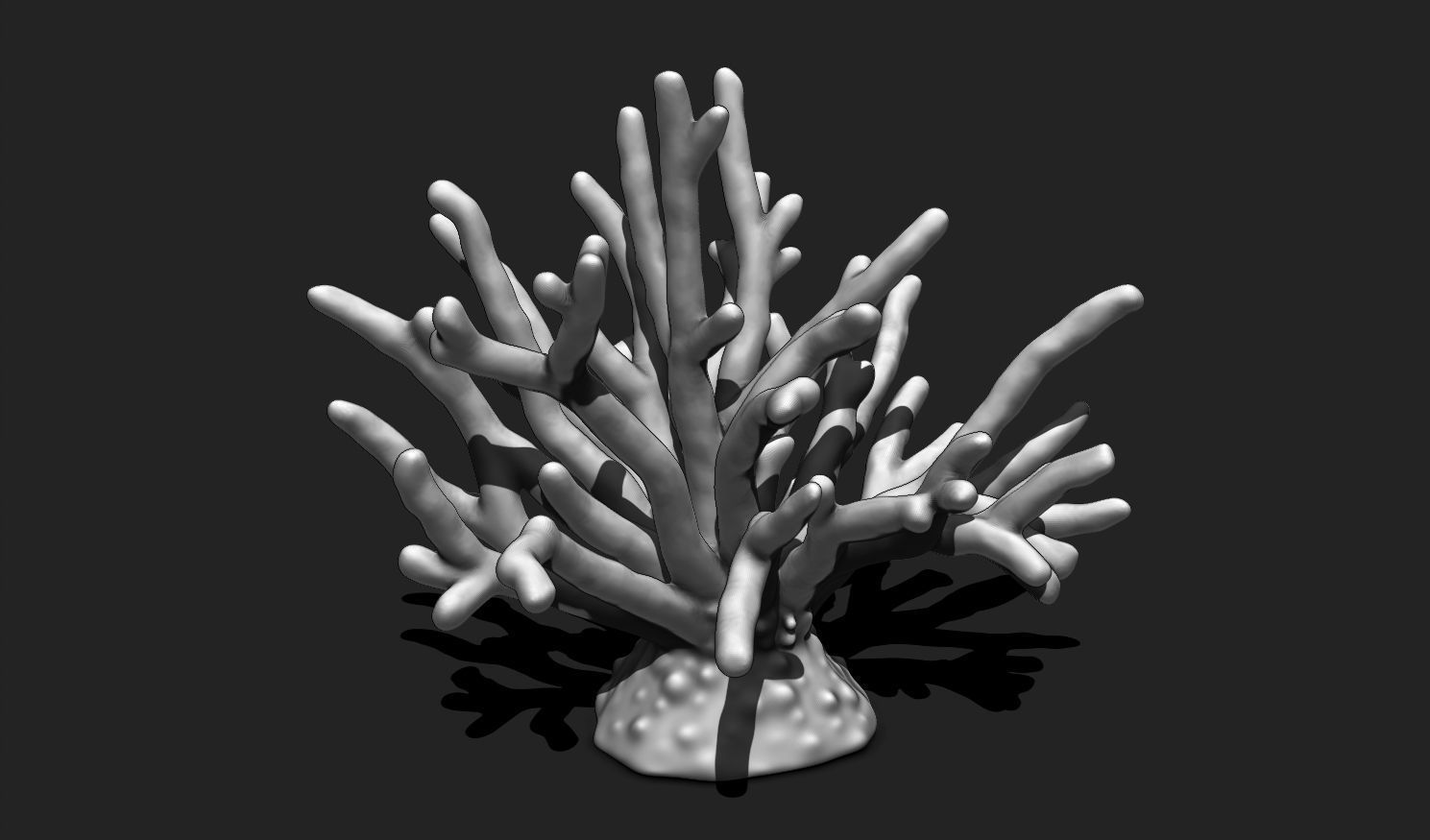 Coral 11 for 3D Printing - STL 3D Print - Aquarium - Home Decor 3D print model_6