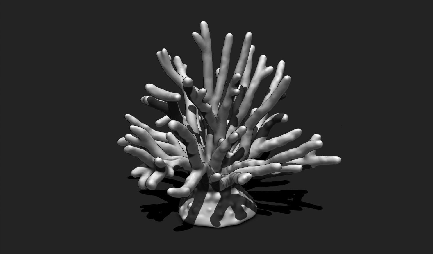 Coral 11 for 3D Printing - STL 3D Print - Aquarium - Home Decor 3D print model_9
