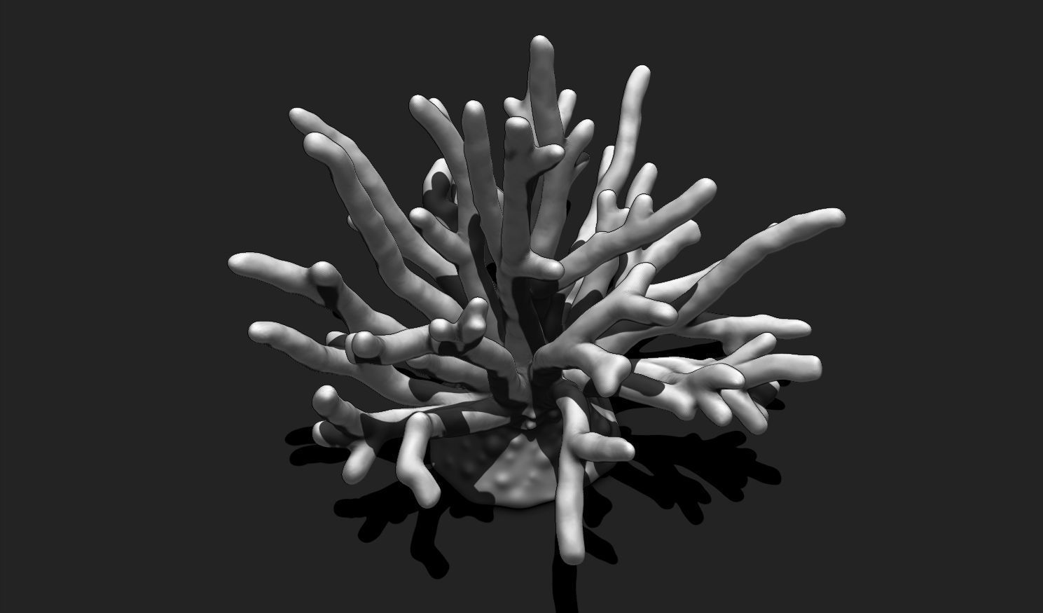 Coral 11 for 3D Printing - STL 3D Print - Aquarium - Home Decor 3D print model_11