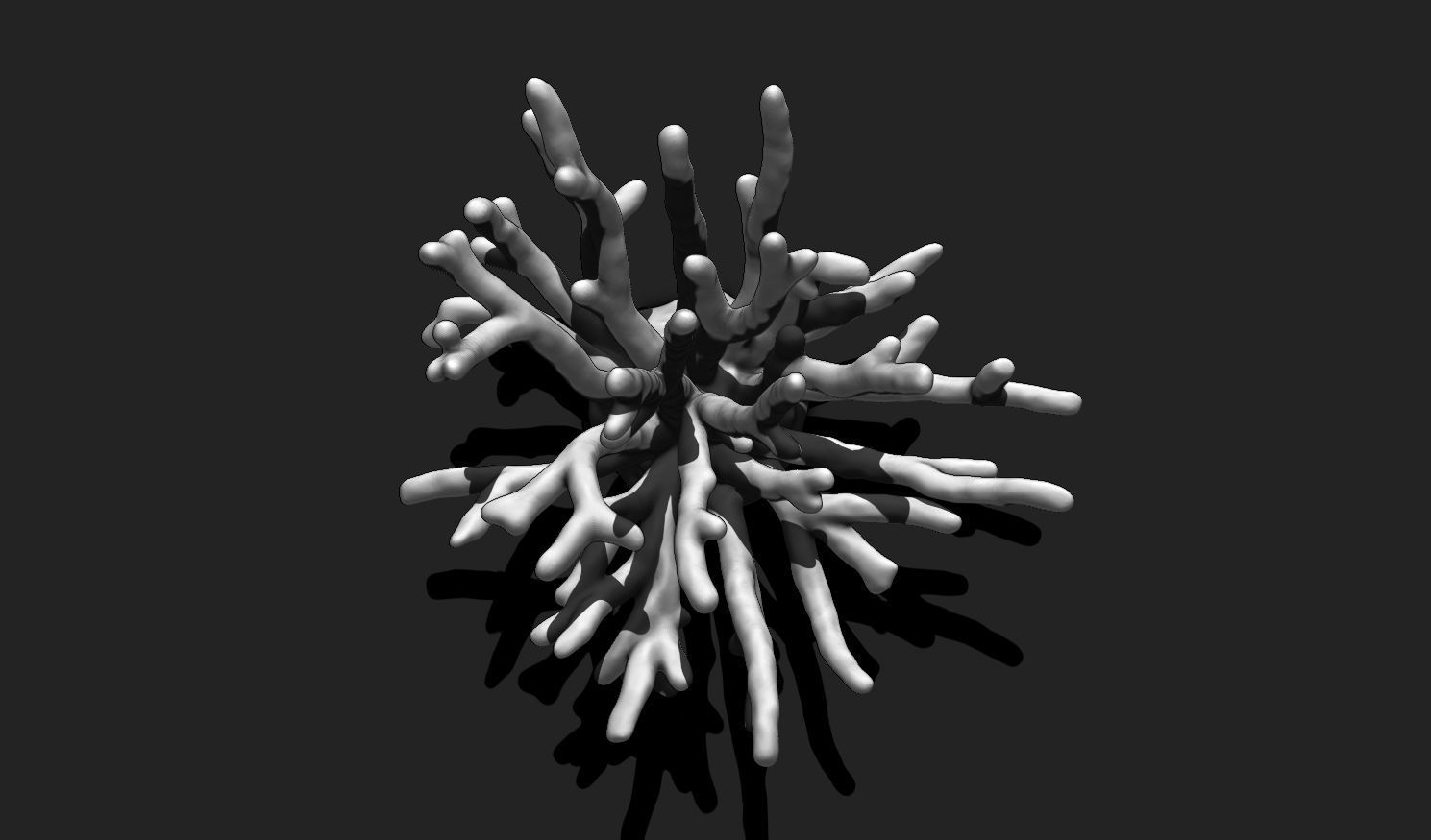 Coral 11 for 3D Printing - STL 3D Print - Aquarium - Home Decor 3D print model_10