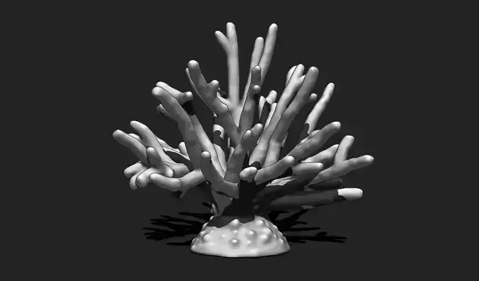 Coral 11 for 3D Printing - STL 3D Print - Aquarium - Home Decor 3D print model