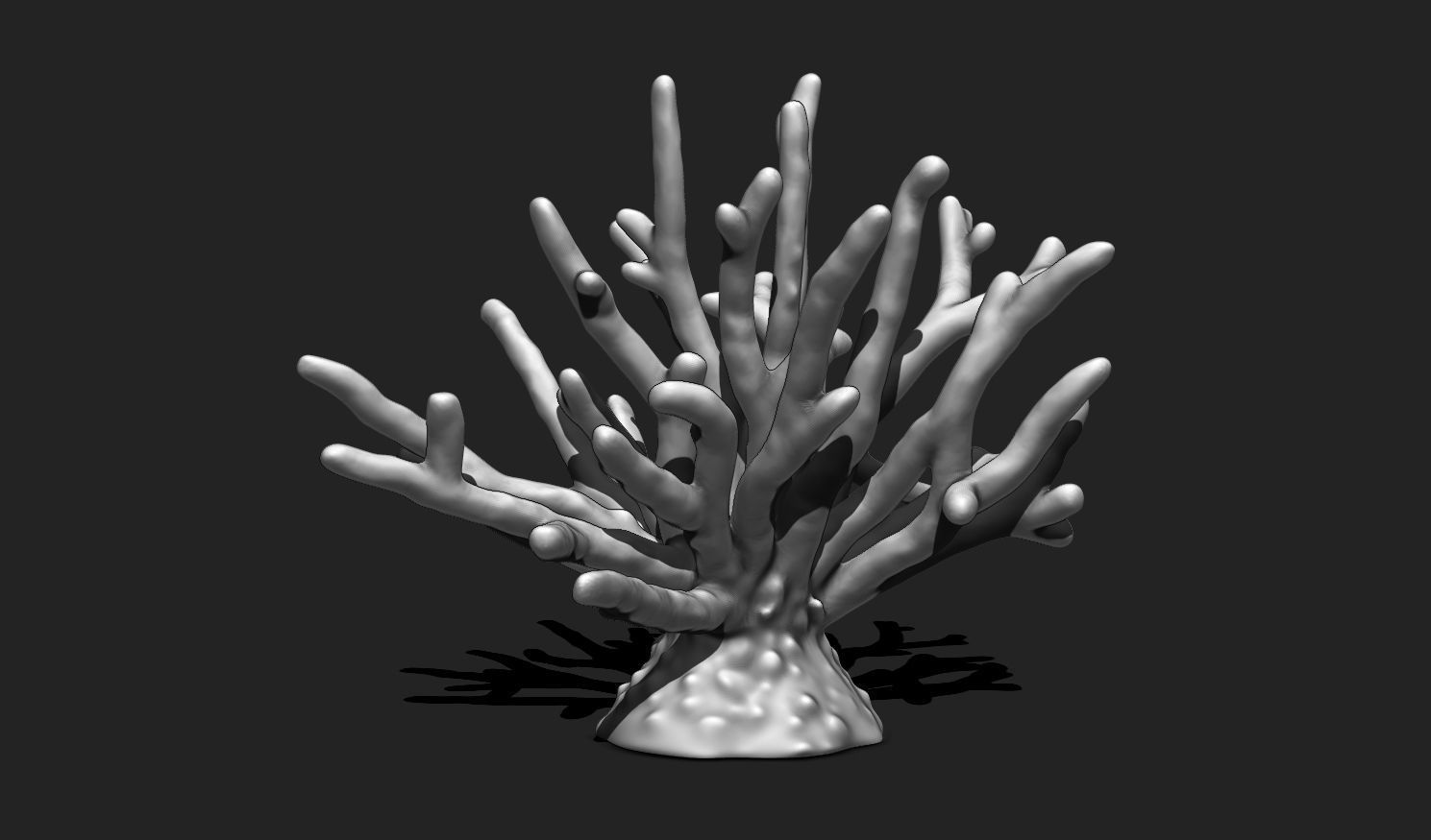 Coral 11 for 3D Printing - STL 3D Print - Aquarium - Home Decor 3D print model_2