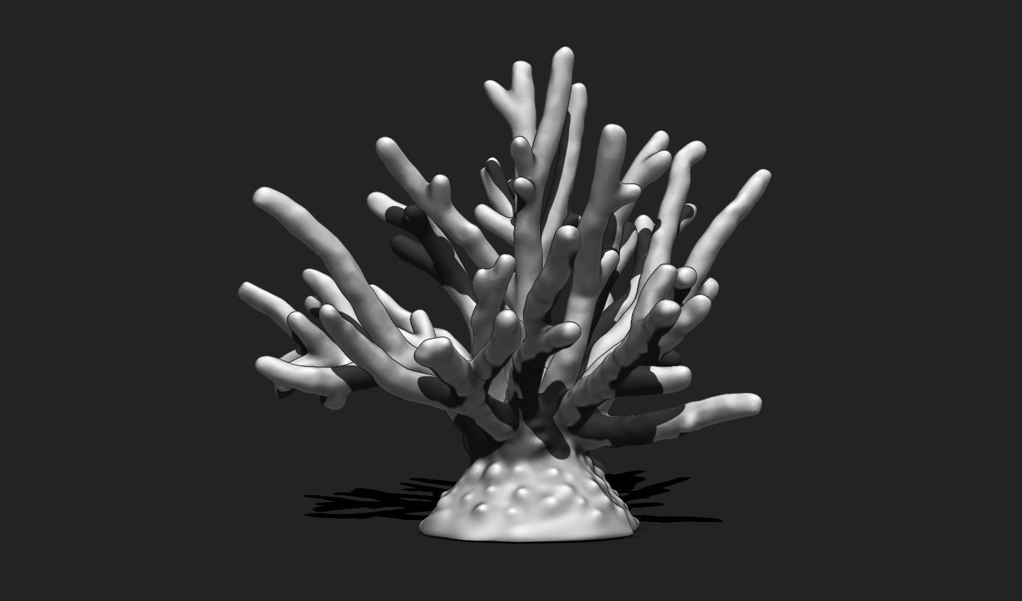 Coral 11 for 3D Printing - STL 3D Print - Aquarium - Home Decor 3D print model_4