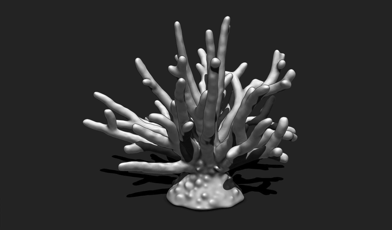 Coral 11 for 3D Printing - STL 3D Print - Aquarium - Home Decor 3D print model_7