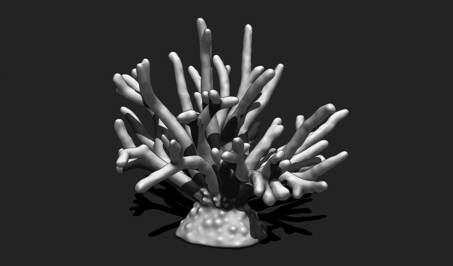 Coral 11 for 3D Printing - STL 3D Print - Aquarium - Home Decor 3D print model_5