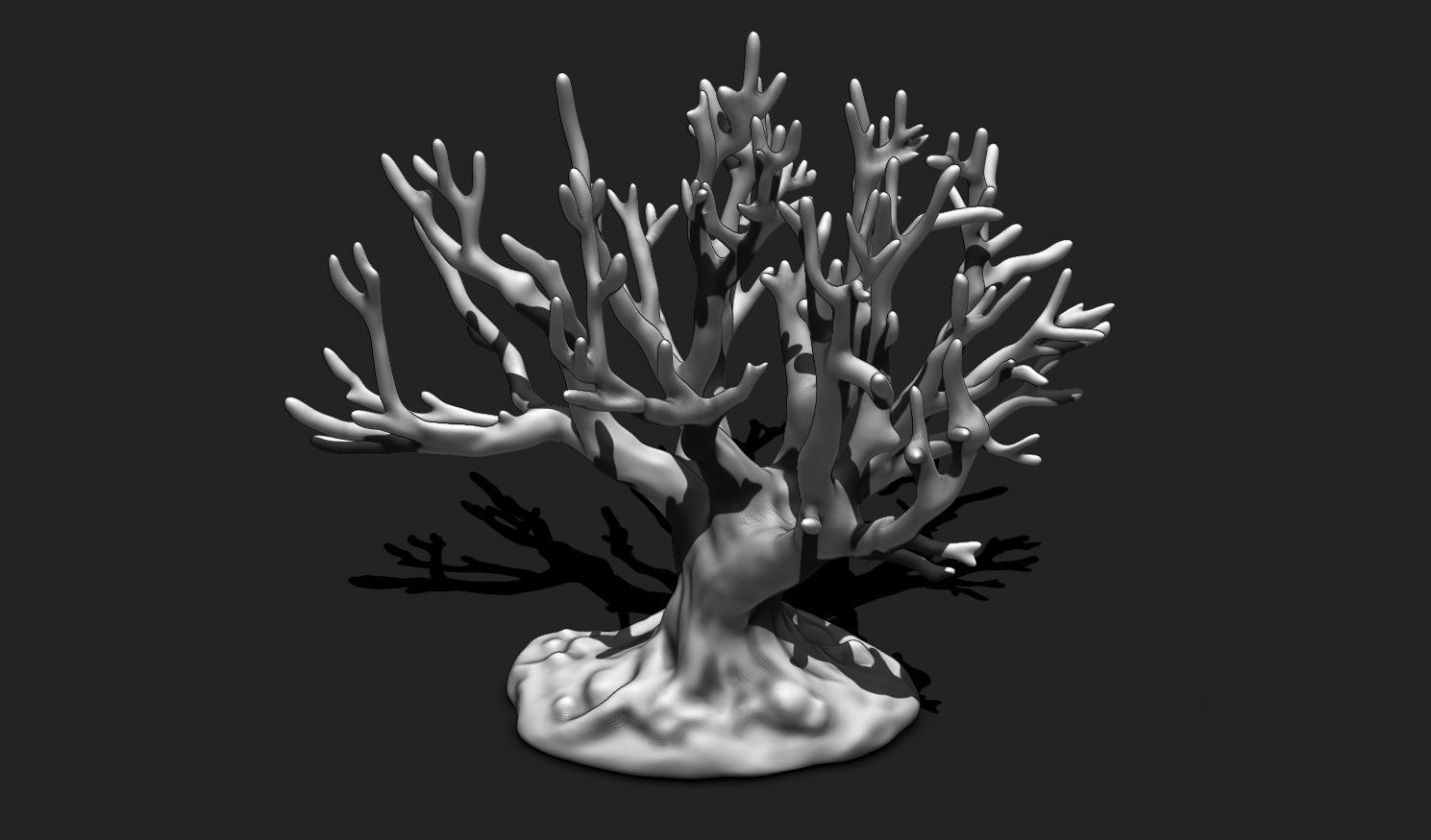 Coral 12 for 3D Printing - STL 3D Print - Aquarium - Home Decor 3D print model_9