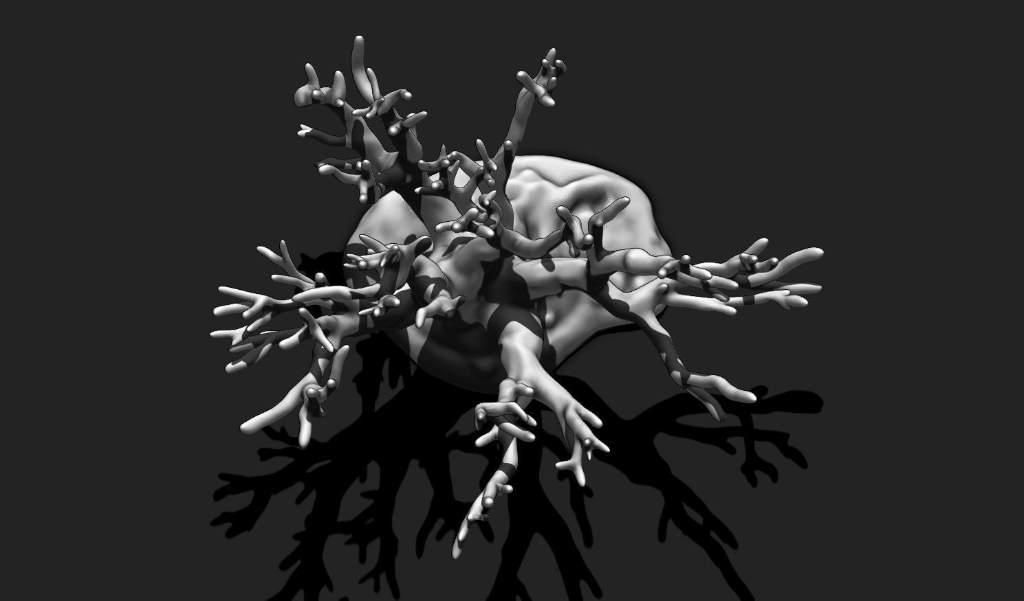 Coral 12 for 3D Printing - STL 3D Print - Aquarium - Home Decor 3D print model_5