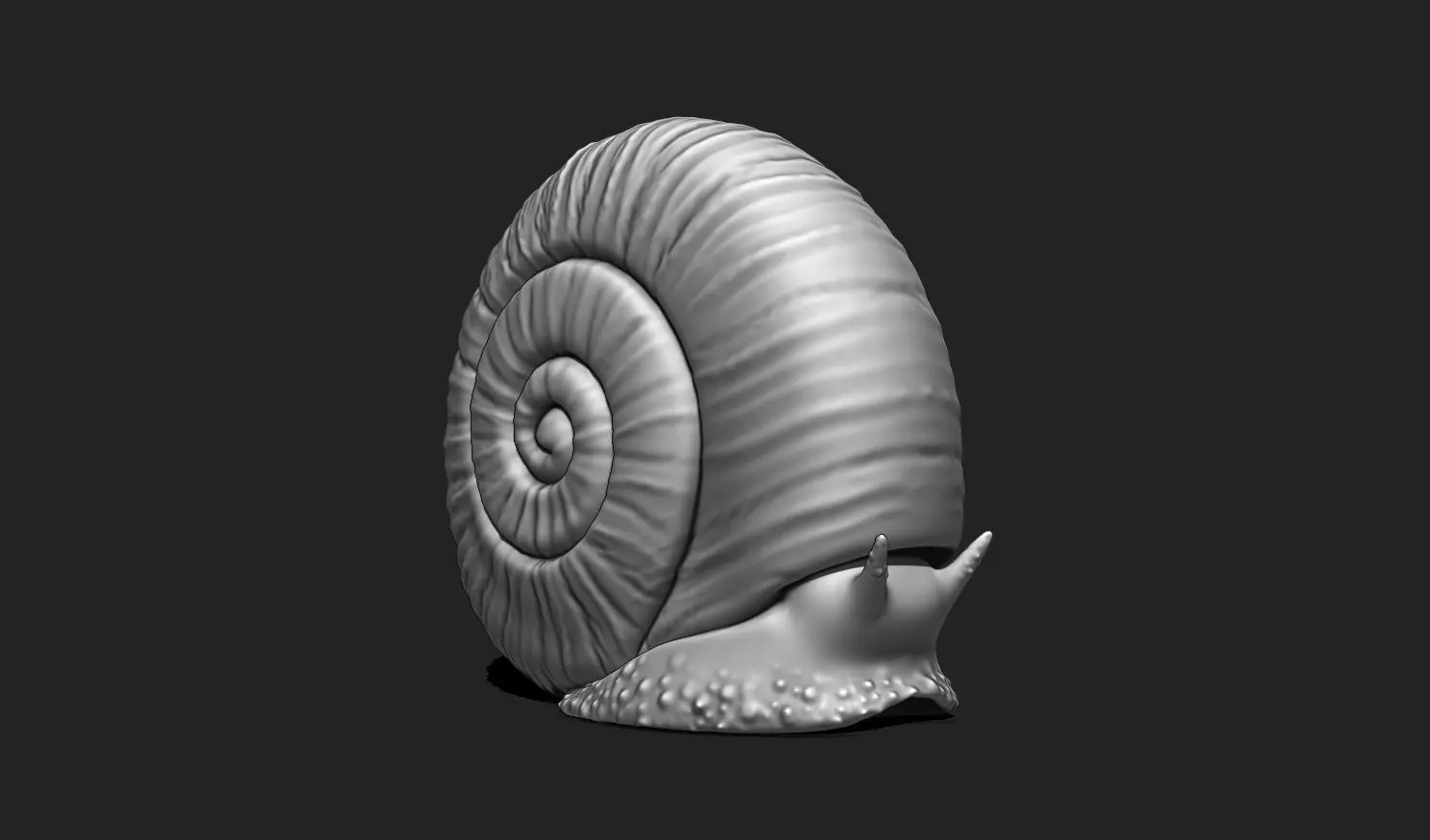 3D Snail 1 for Printing 3D print model