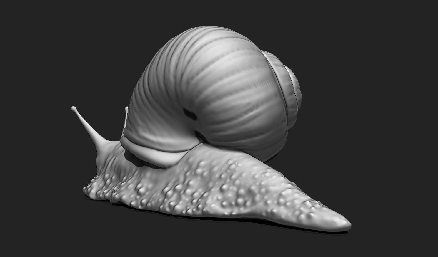 3D Snail 2 for Printing 3D print model_7
